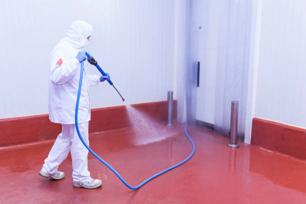 Best Commercial Pressure Washing in Centralia, IL